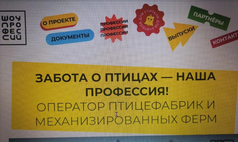 Шоу профессий.
